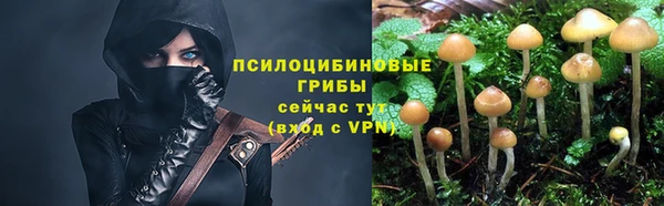 ALPHA-PVP Баксан