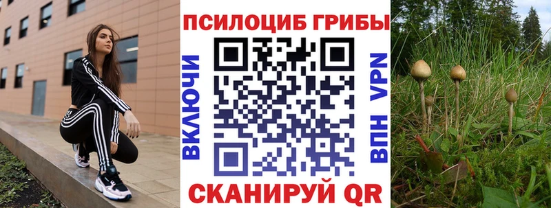 Псилоцибиновые грибы мицелий  купить   OMG маркетплейс  Петровск 