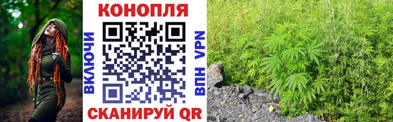 кракен   купить   Петровск  Каннабис конопля 